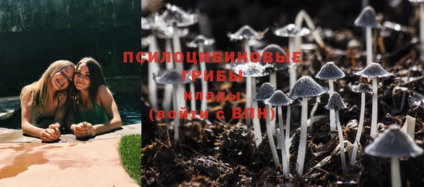 мдпв Новодвинск