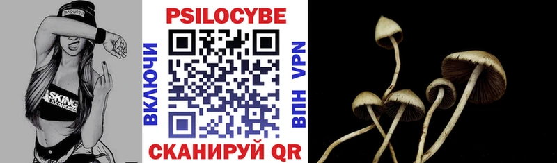 omg онион  Алексеевка  Псилоцибиновые грибы мухоморы  где продают  