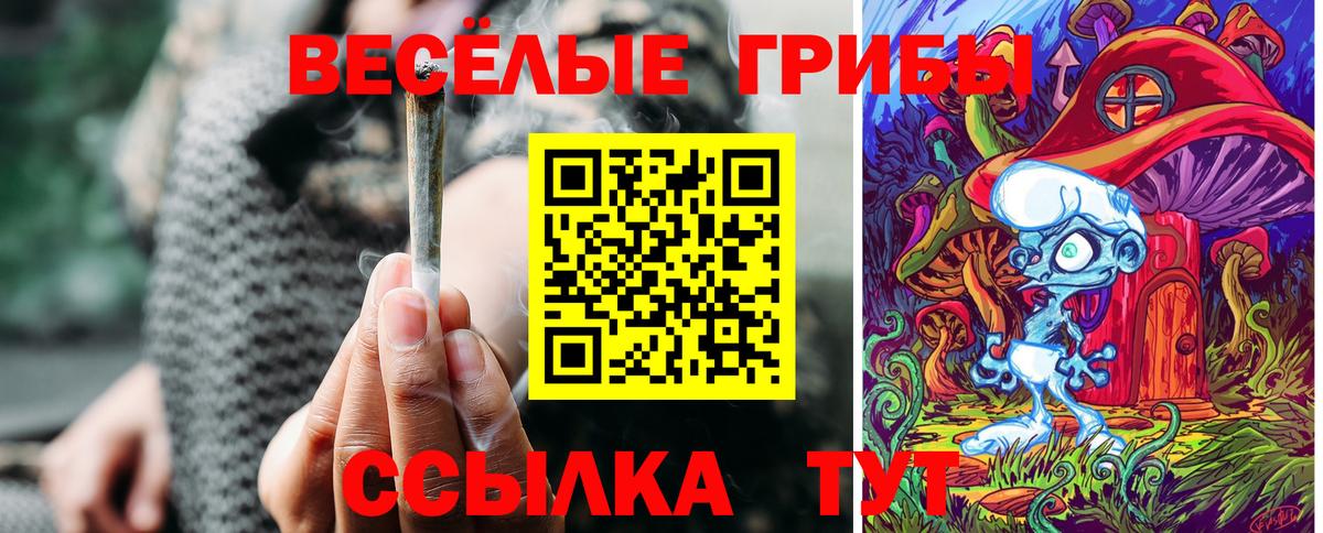 Галлюциногенные грибы Magic Shrooms  Вход с VPN  Алексеевка 